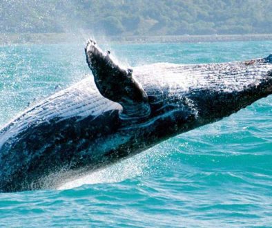 Coast Ecuador